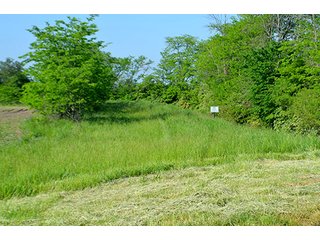 Property photo 58 - LAND AUCTION - 215+/- ACRES OFFERED IN 6 TRACTS IN VAN WERT COUNTY, OHIO